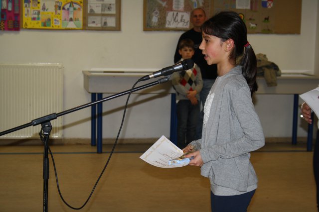 Megyei helyesírási verseny